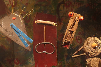 Image of session Aves raras
